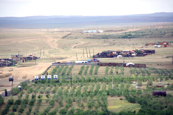 고양시가 2010년부터 2019년까지 10년 동안 진행된 몽골 ‘고양의 숲’ 사업을 성공적으로 완료하고 백서를 발간했다고 6일 밝혔다. 사진은 몽골 ‘고양의 숲’ 전경. (사진제공=고양시청)