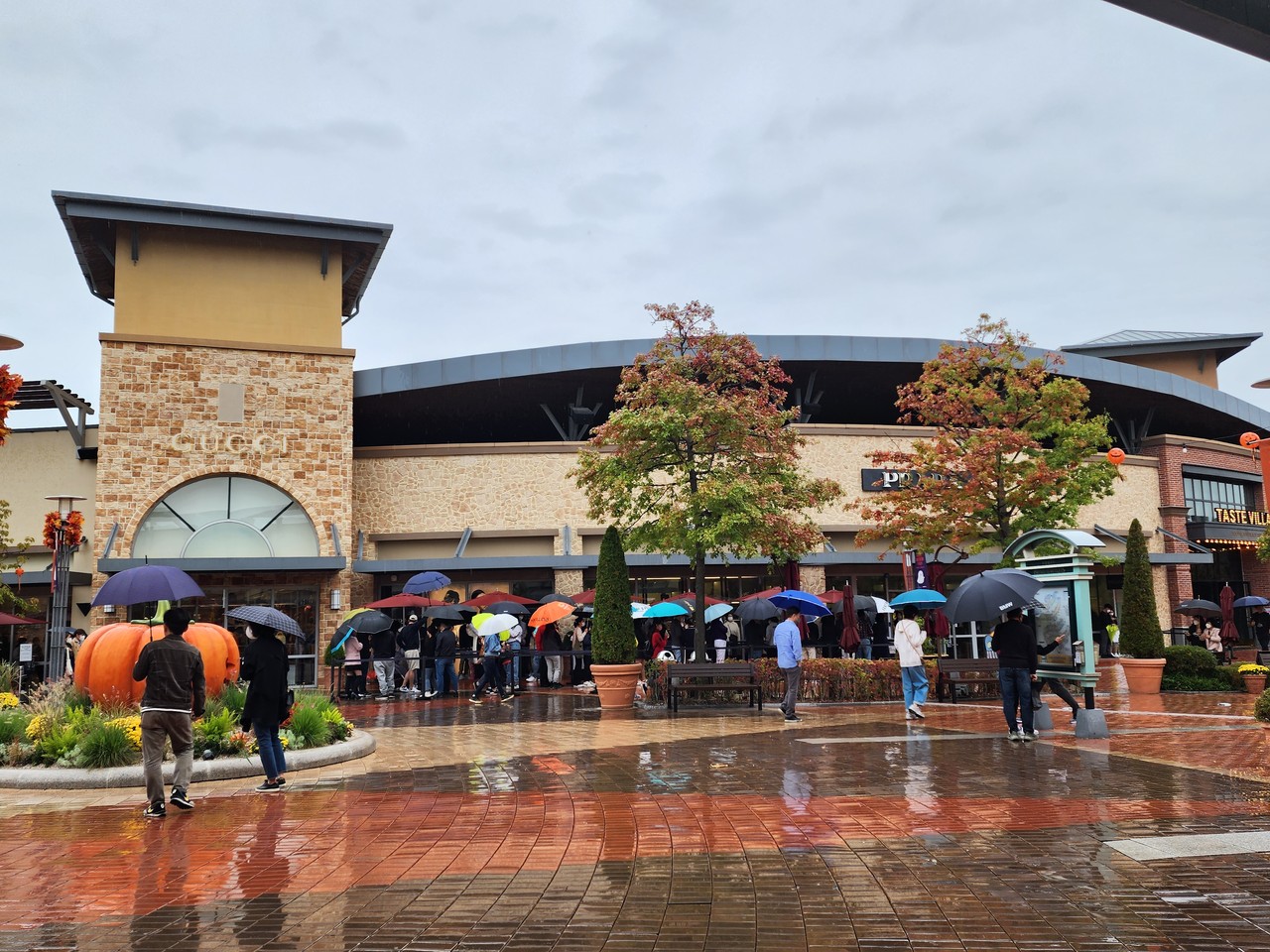 가을비 내리는 9일 오전 11시40분께 여주프리미엄아울렛의 한 유명 매장 앞에 입장을 위해 우산 쓴 고객들이 길게 줄을 서서 기다리고 있다. (사진=김광섭 기자)