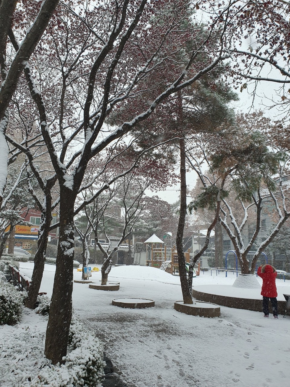 15일 오후 2시20분께 수원시 수원천에 눈이 내리고 있다. (사진=권영복 기자)
