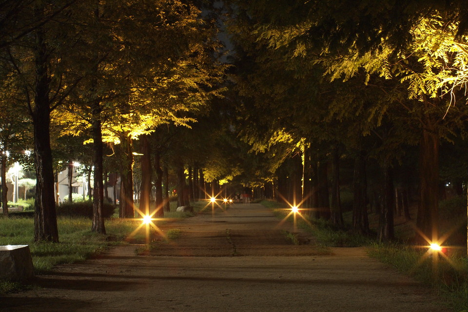 야간에는 나무 사이로 비치는 도심의 불빛으로 숲길에서 도심 야경을 보기 위해 찾는 시민도 늘고 있다. (사진=오기춘 기자)